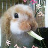 89位のイメージ