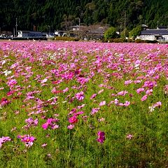 10位のイメージ