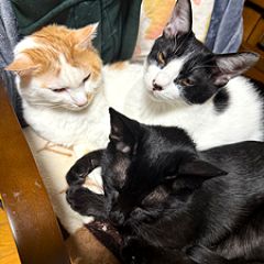 129位のイメージ