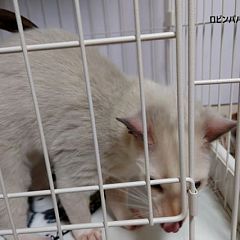 22位のイメージ