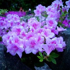 113位のイメージ