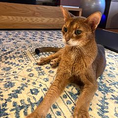 13位のイメージ