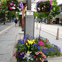 97位のイメージ