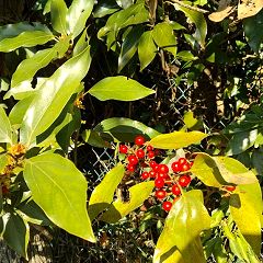 23位のイメージ