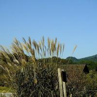 48049位のイメージ