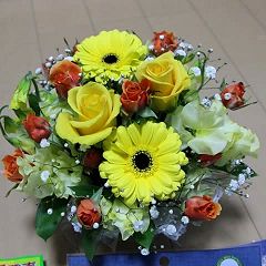 51位のイメージ