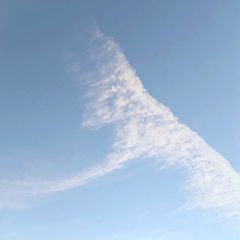 10位のイメージ