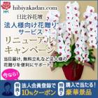 91位のイメージ