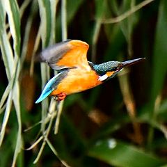 80位のイメージ