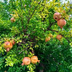 10位のイメージ