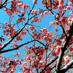 24位のイメージ