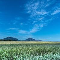 66位のイメージ