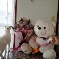 28位のイメージ