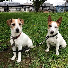 19位のイメージ