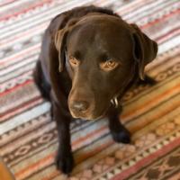 40位のイメージ