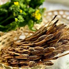 28位のイメージ