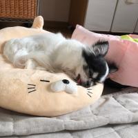 578位のイメージ