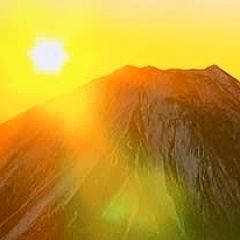 2307位のイメージ