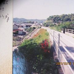 2381位のイメージ