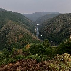 130位のイメージ