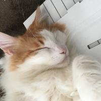 27位のイメージ