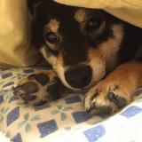 29位のイメージ