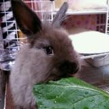 74位のイメージ