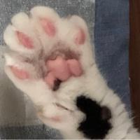 35位のイメージ