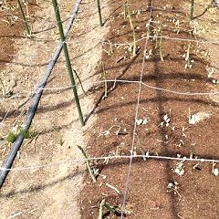 48位のイメージ