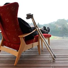 81位のイメージ