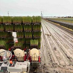 69位のイメージ