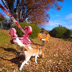 13位のイメージ