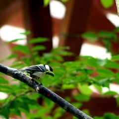 2130位のイメージ