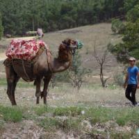 62位のイメージ