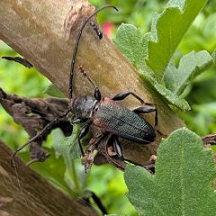 19位のイメージ