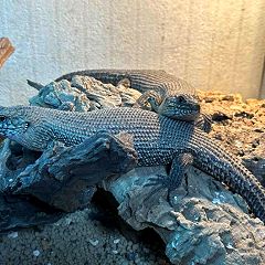 32位のイメージ