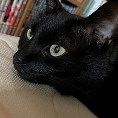 42位のイメージ