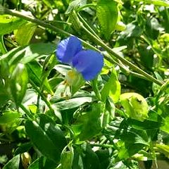 124位のイメージ