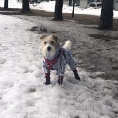 21位のイメージ