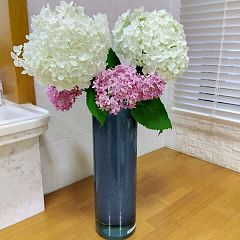 68位のイメージ