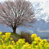 19位のイメージ