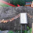 18302位のイメージ