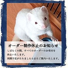 3029位のイメージ