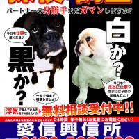 42位のイメージ