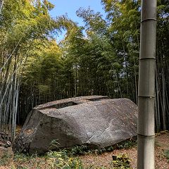 14位のイメージ