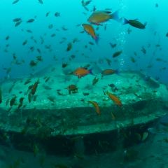 22位のイメージ