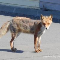 18276位のイメージ