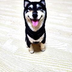 21位のイメージ