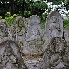 41位のイメージ