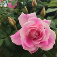 19位のイメージ